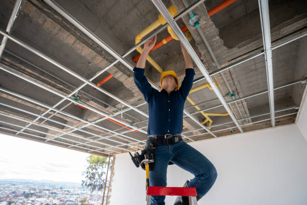 Best Plumbing Repair Near Me  in Carencro, LA